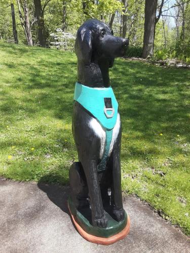 0032_20240507_125435