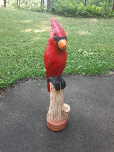 0033_20240804_084220