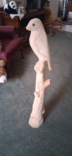 0043_20250319_130906