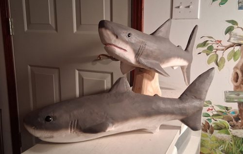 0044_20250528_191217